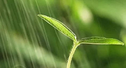 初期雨水什么情形下需納入排污許可？